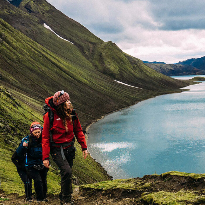 Building momentum, audience growth, and revenue for a tourism company during a global pandemic.